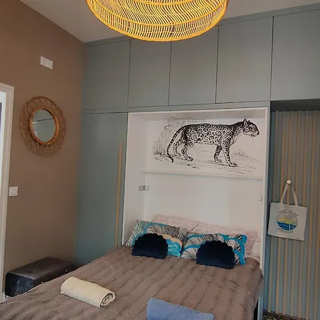 Pepite A 100m De La Apartman Dinard